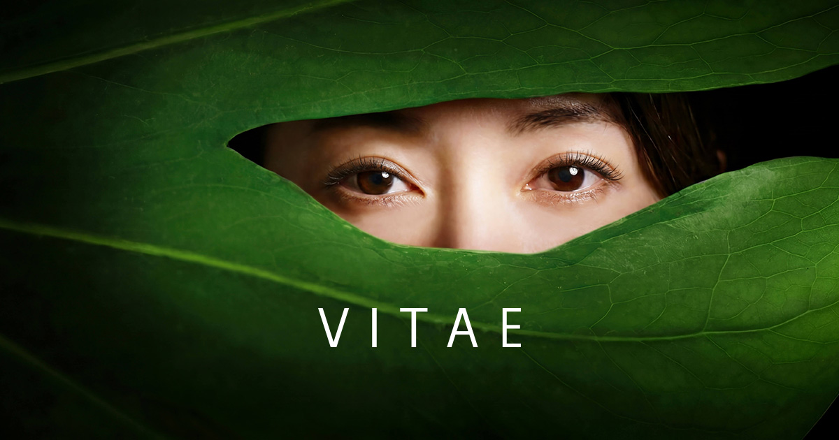 THE VITAE(旧 DRESSER)の外観